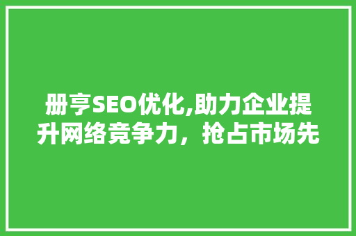 册亨SEO优化,助力企业提升网络竞争力，抢占市场先机