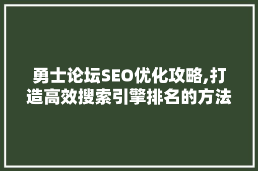 勇士论坛SEO优化攻略,打造高效搜索引擎排名的方法