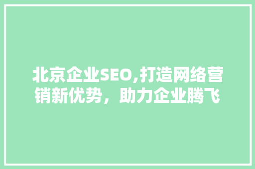 北京企业SEO,打造网络营销新优势，助力企业腾飞