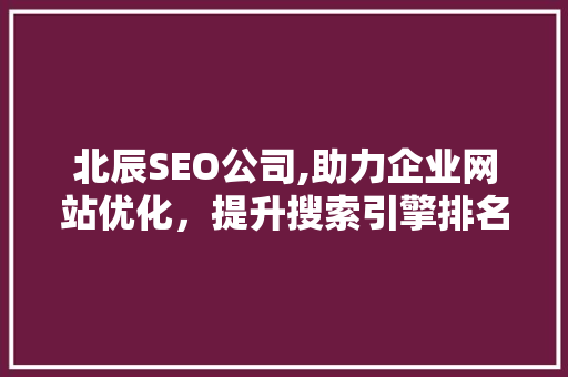 北辰SEO公司,助力企业网站优化，提升搜索引擎排名