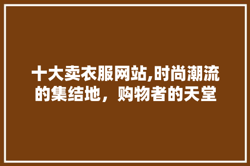 十大卖衣服网站,时尚潮流的集结地，购物者的天堂