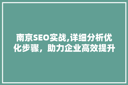 南京SEO实战,详细分析优化步骤，助力企业高效提升网站排名