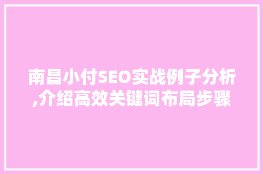 南昌小付SEO实战例子分析,介绍高效关键词布局步骤