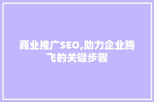 商业推广SEO,助力企业腾飞的关键步骤