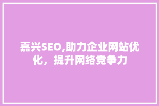 嘉兴SEO,助力企业网站优化，提升网络竞争力