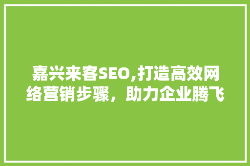 嘉兴来客SEO,打造高效网络营销步骤，助力企业腾飞