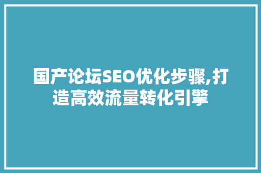 国产论坛SEO优化步骤,打造高效流量转化引擎