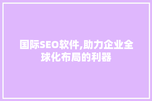 国际SEO软件,助力企业全球化布局的利器