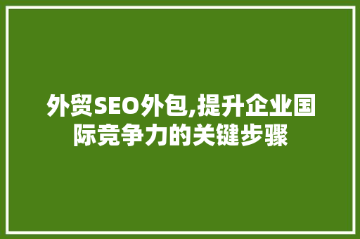 外贸SEO外包,提升企业国际竞争力的关键步骤