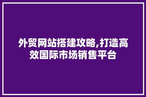 外贸网站搭建攻略,打造高效国际市场销售平台