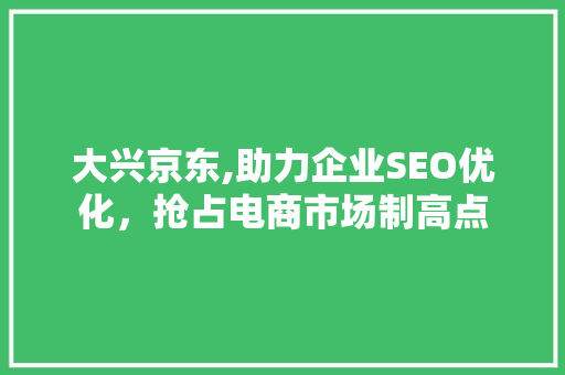 大兴京东,助力企业SEO优化，抢占电商市场制高点