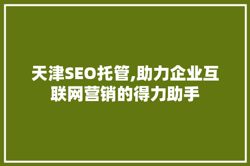 天津SEO托管,助力企业互联网营销的得力助手