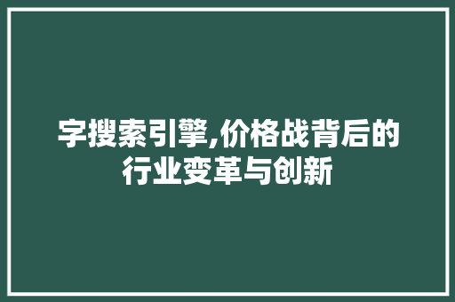 字搜索引擎,价格战背后的行业变革与创新