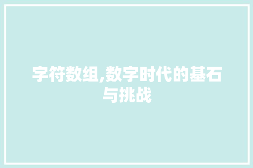 字符数组,数字时代的基石与挑战