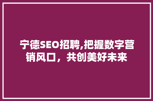 宁德SEO招聘,把握数字营销风口，共创美好未来