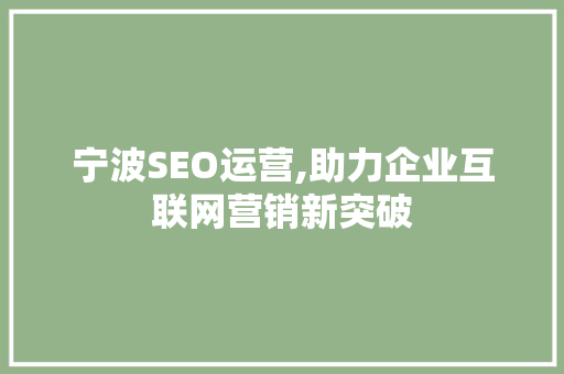 宁波SEO运营,助力企业互联网营销新突破