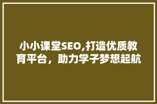 小小课堂SEO,打造优质教育平台，助力学子梦想起航