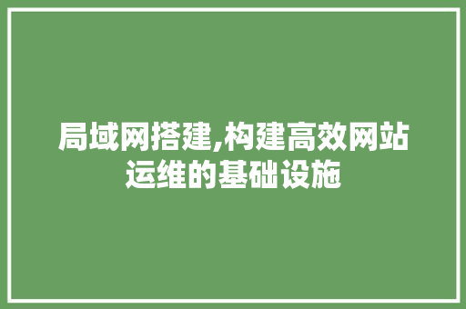 局域网搭建,构建高效网站运维的基础设施