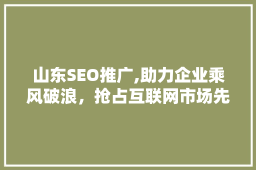 山东SEO推广,助力企业乘风破浪，抢占互联网市场先机