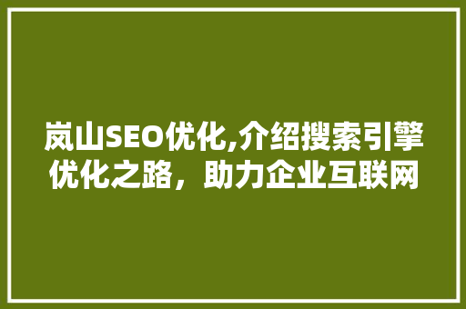 岚山SEO优化,介绍搜索引擎优化之路，助力企业互联网腾飞