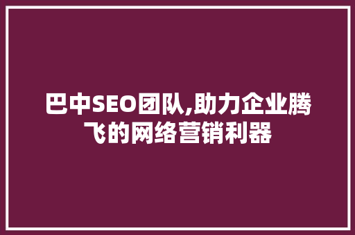 巴中SEO团队,助力企业腾飞的网络营销利器