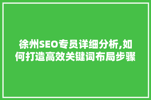 徐州SEO专员详细分析,如何打造高效关键词布局步骤