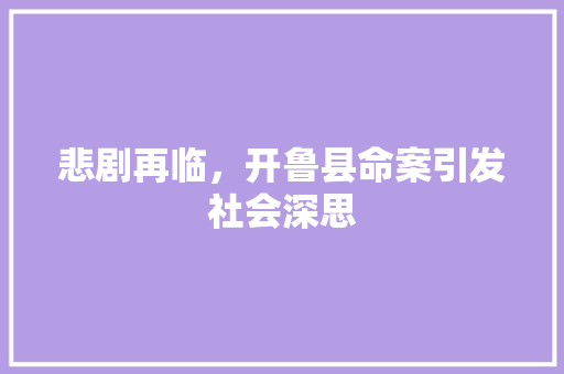 悲剧再临，开鲁县命案引发社会深思