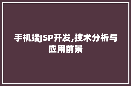 手机端JSP开发,技术分析与应用前景