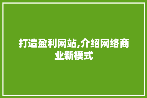 打造盈利网站,介绍网络商业新模式