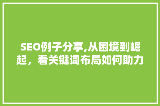 SEO例子分享,从困境到崛起，看关键词布局如何助力网站排名