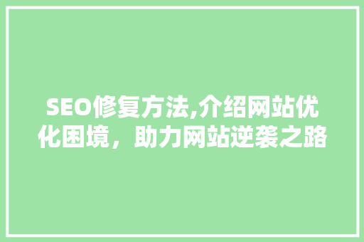 SEO修复方法,介绍网站优化困境，助力网站逆袭之路