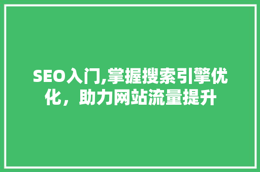 SEO入门,掌握搜索引擎优化，助力网站流量提升