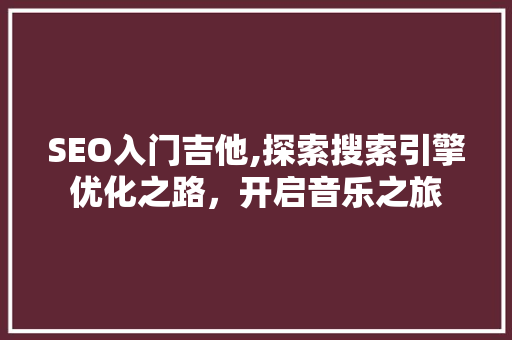 SEO入门吉他,探索搜索引擎优化之路，开启音乐之旅