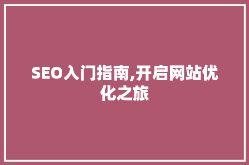 SEO入门指南,开启网站优化之旅