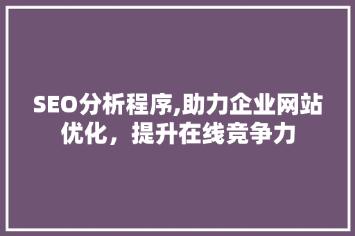 SEO分析程序,助力企业网站优化，提升在线竞争力