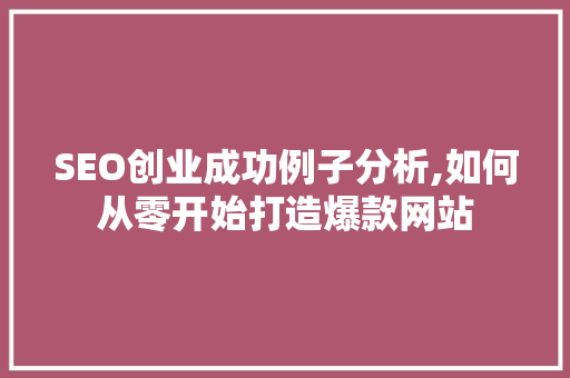 SEO创业成功例子分析,如何从零开始打造爆款网站