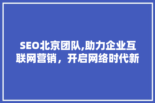 SEO北京团队,助力企业互联网营销，开启网络时代新篇章