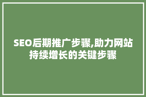 SEO后期推广步骤,助力网站持续增长的关键步骤