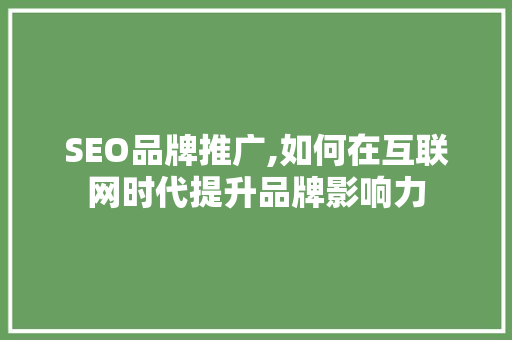 SEO品牌推广,如何在互联网时代提升品牌影响力