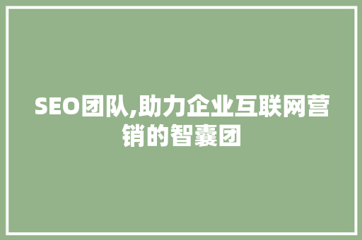 SEO团队,助力企业互联网营销的智囊团