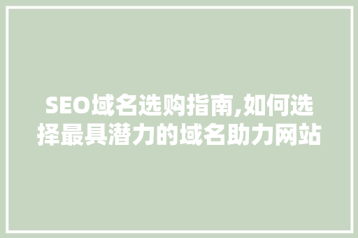 SEO域名选购指南,如何选择最具潜力的域名助力网站优化