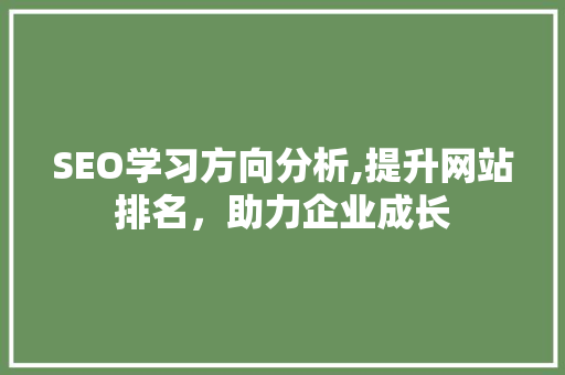 SEO学习方向分析,提升网站排名，助力企业成长