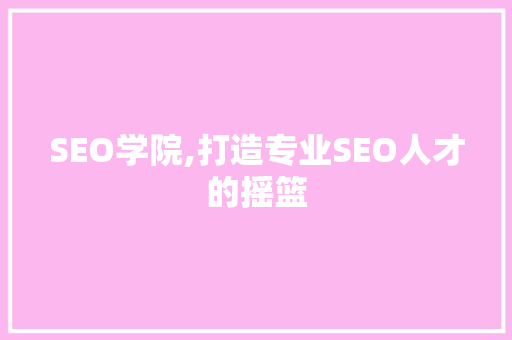 SEO学院,打造专业SEO人才的摇篮