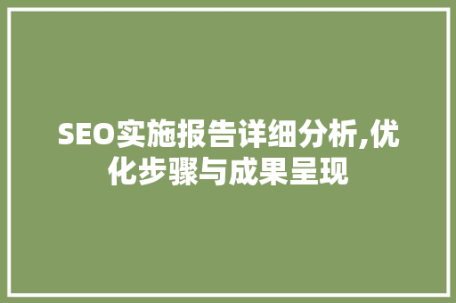 SEO实施报告详细分析,优化步骤与成果呈现