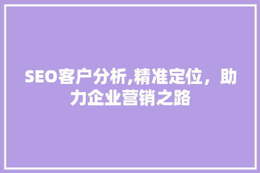 SEO客户分析,精准定位，助力企业营销之路