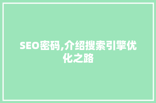 SEO密码,介绍搜索引擎优化之路