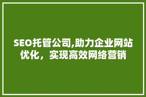 SEO托管公司,助力企业网站优化，实现高效网络营销