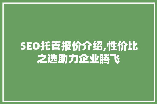 SEO托管报价介绍,性价比之选助力企业腾飞