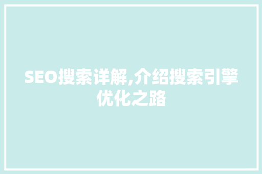 SEO搜索详解,介绍搜索引擎优化之路