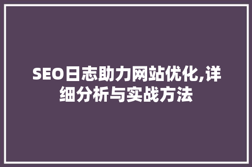 SEO日志助力网站优化,详细分析与实战方法